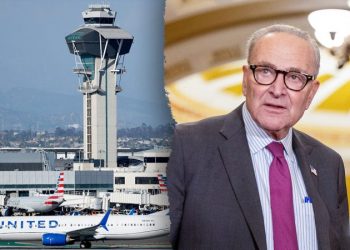 Americans could face airport chaos if Dems don’t end shutdown, Trump official warns