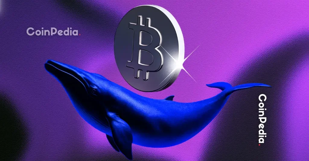3 High-Potential Coins Whales Are Buying Ahead of December Pump – SHIB, XRP & Digitap